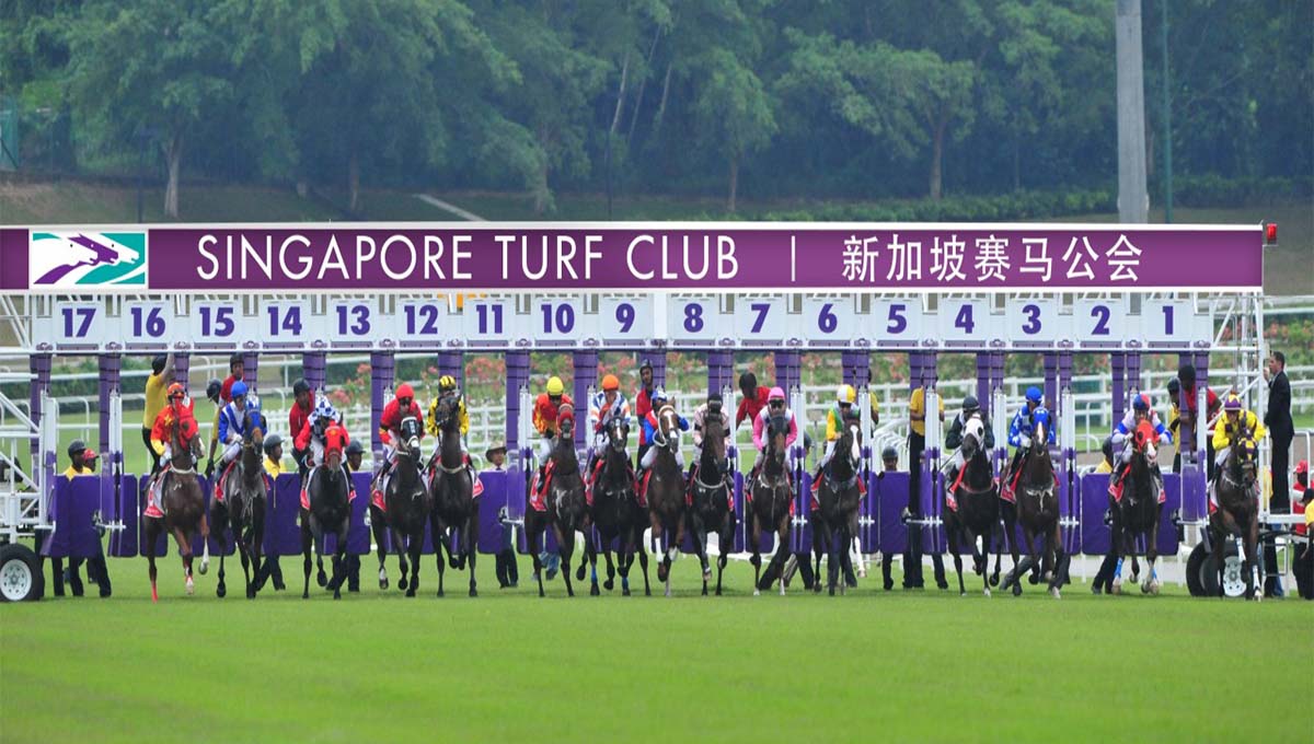 An Introduction to Singapore Turf Club