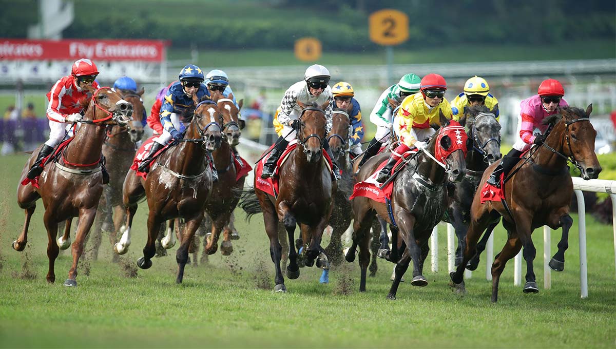 Singapore Horse Racing Online Betting